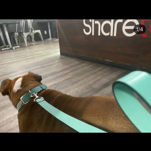 Meet your seller - Picture 6 of 11